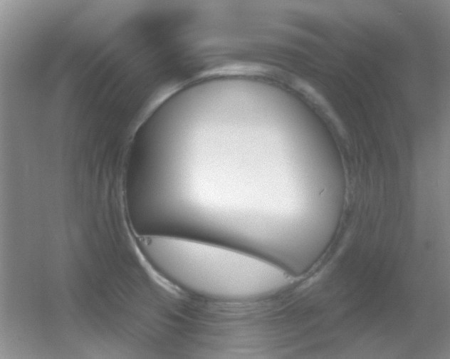 X0000055521425200508120810