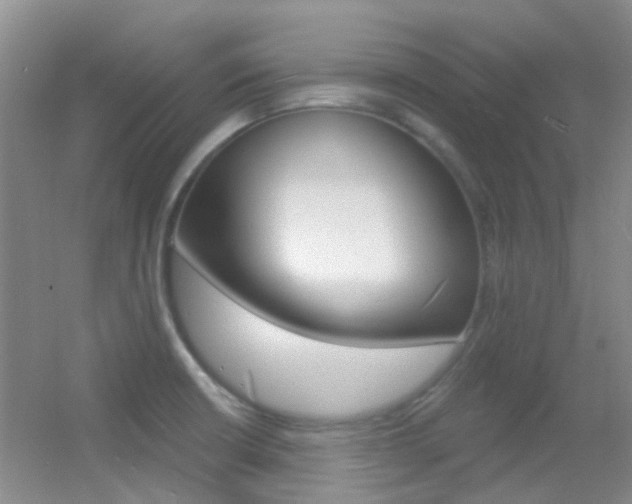 X0000055521426200508120810