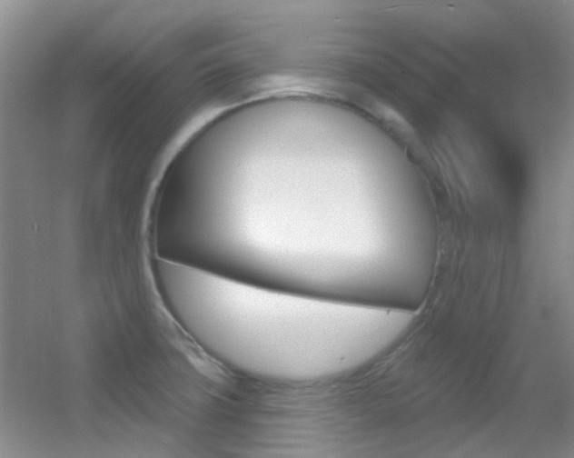 X0000055521427200508120810