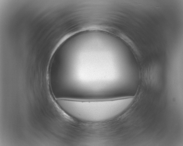 X0000055521428200508120810