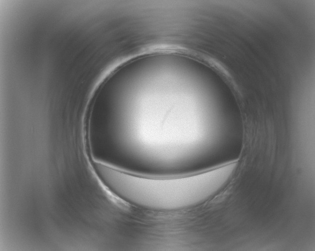 X0000055521430200508120810