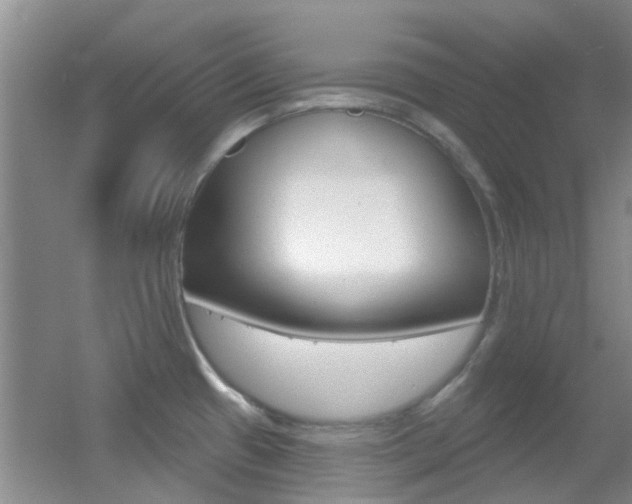X0000055521433200508120810