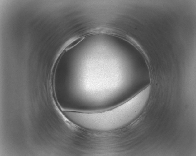 X0000055521434200508120810