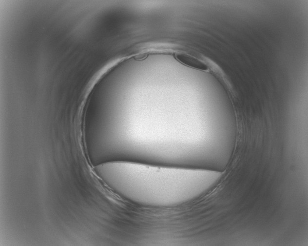 X0000055521435200508120810