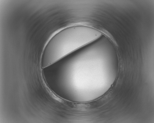 X0000055521436200508120810