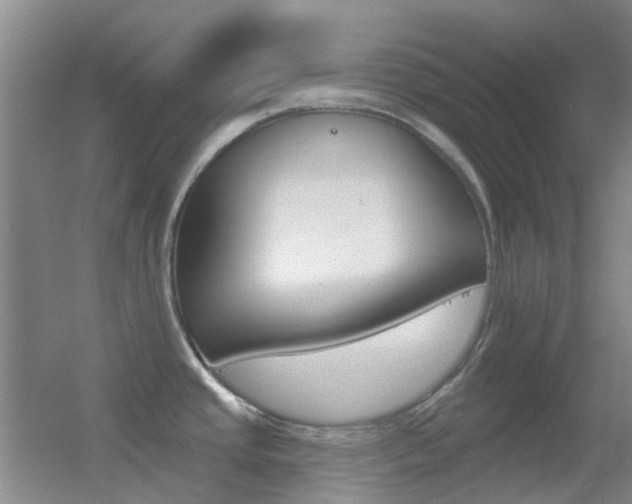 X0000055521437200508120810