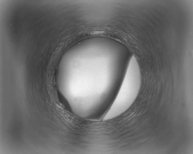 X0000055521441200508120809