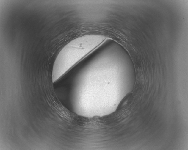 X0000055521442200508120809