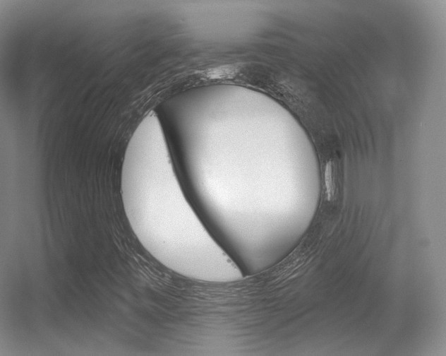 X0000055521443200508120809