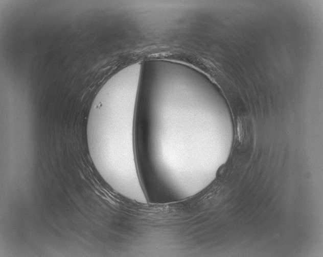 X0000055521444200508120809