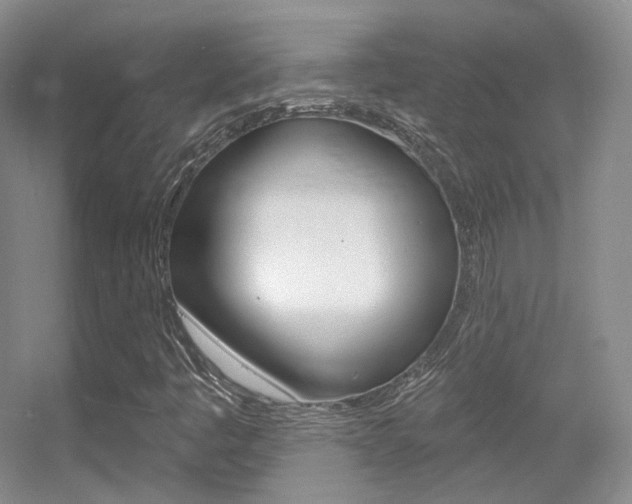 X0000055521445200508120809