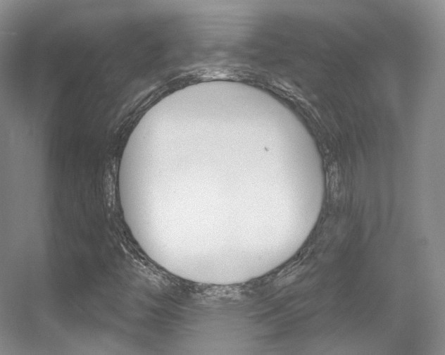 X0000055521446200508120809