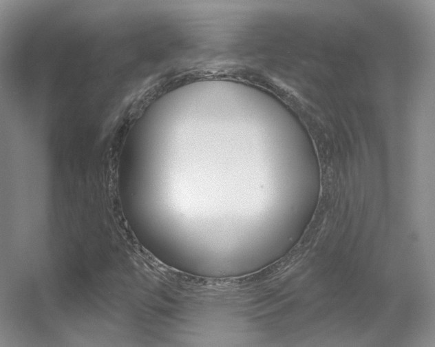 X0000055521447200508120809