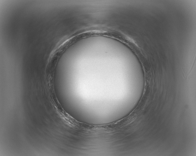 X0000055521448200508120809