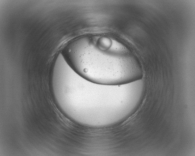 X0000055521451200508120809