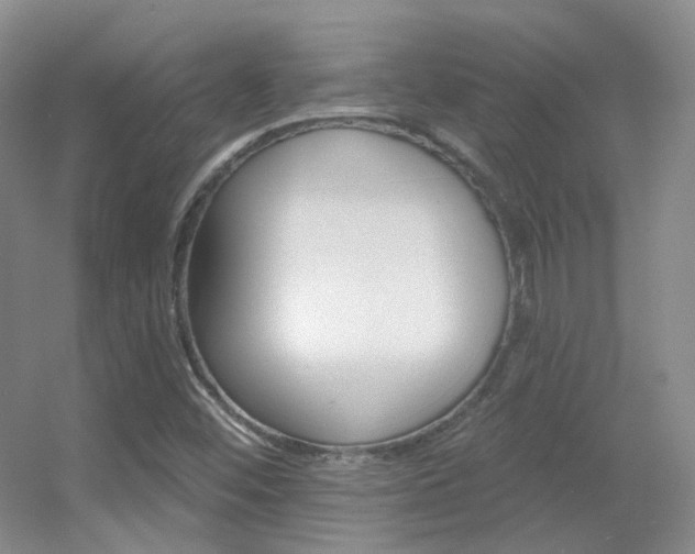 X0000055521452200508120809