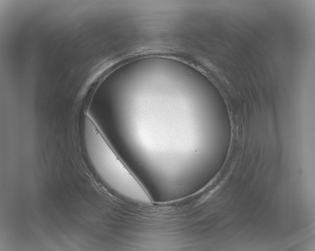 X0000055521453200508120809