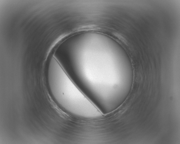 X0000055521458200508120809