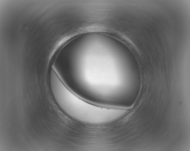 X0000055521461200508120809
