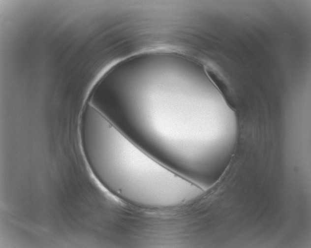 X0000055521476200508120809