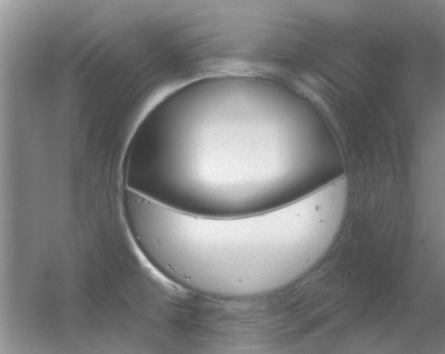 X0000055521479200508120809