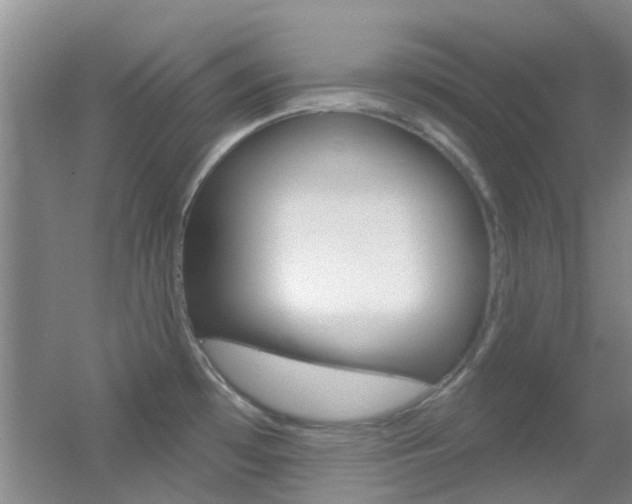 X0000055521481200508120809