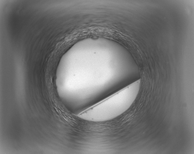 X0000055521489200508120808
