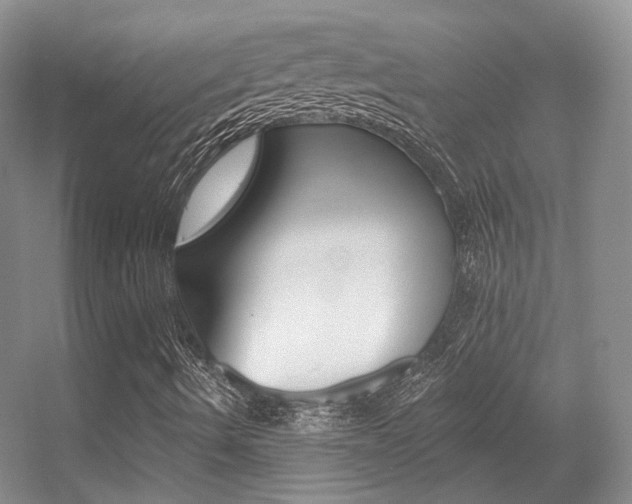 X0000055521490200508120808