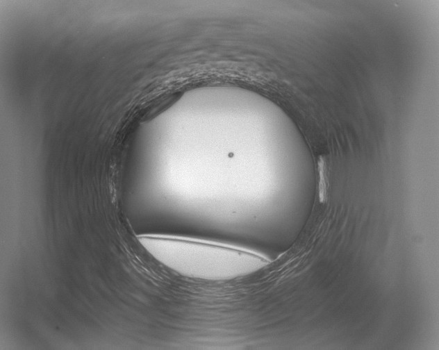 X0000055521491200508120808