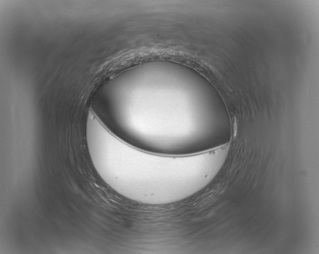 X0000055521492200508120808