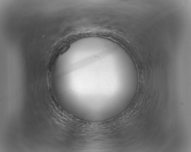 X0000055521493200508120808