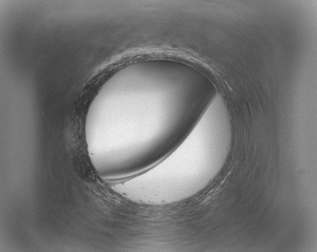 X0000055521494200508120808