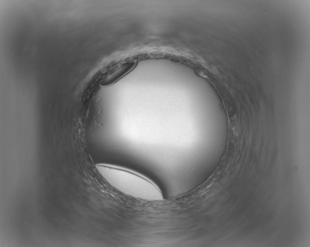 X0000055521495200508120808
