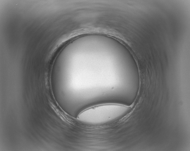 X0000055521499200508120808