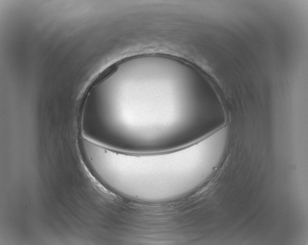 X0000055521500200508120808