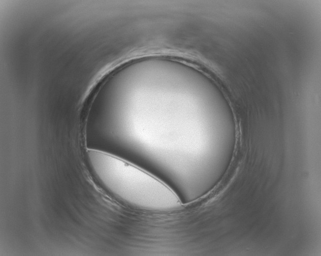 X0000055521501200508120808
