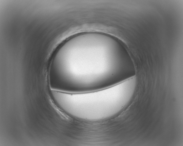 X0000055521507200508120808