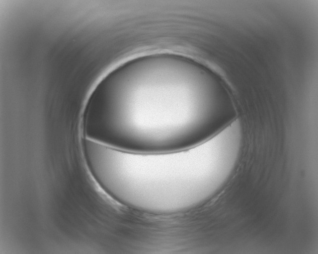 X0000055521516200508120808