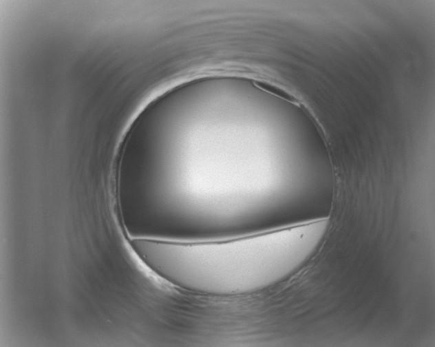 X0000055521531200508120808