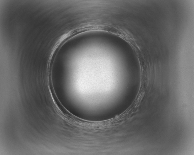X0000055520003200508121055