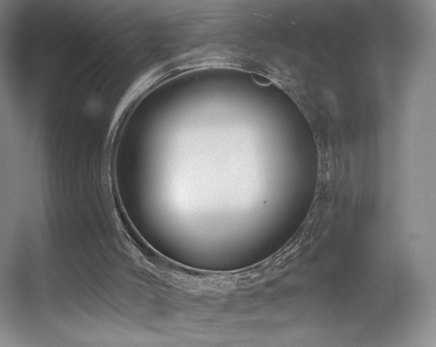 X0000055520004200508121055
