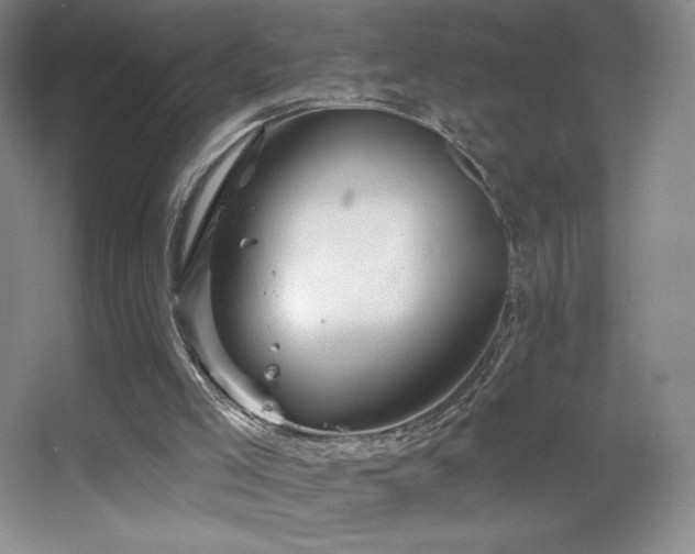 X0000055520005200508121055