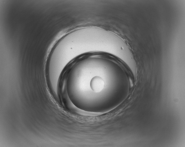 X0000055520006200508121055