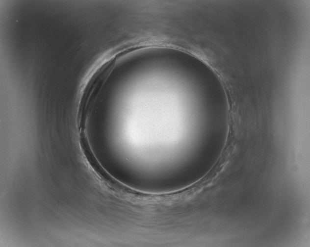 X0000055520007200508121055