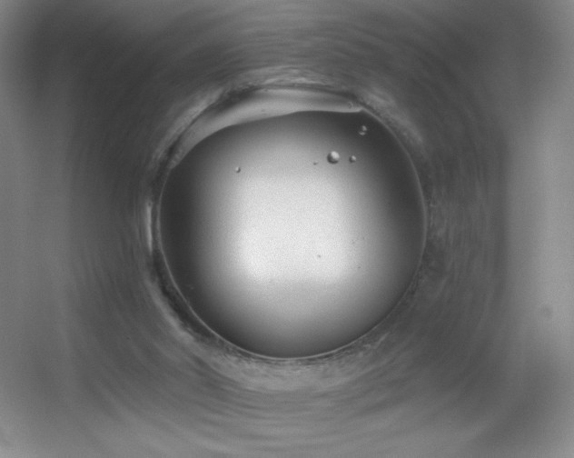 X0000055520014200508121055