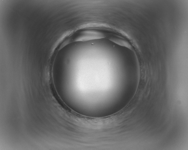 X0000055520015200508121055