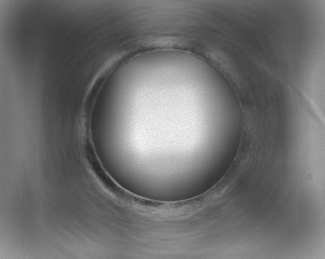 X0000055520016200508121055