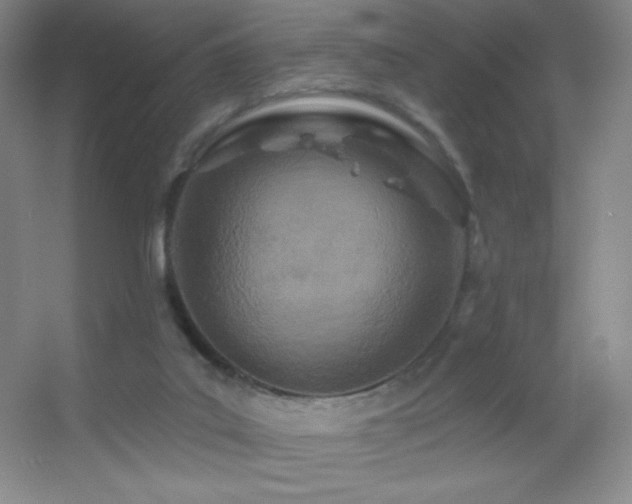 X0000055520019200508121055