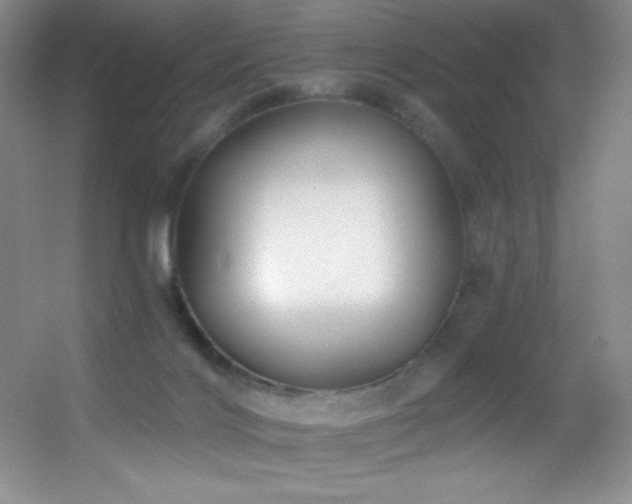 X0000055520028200508121055