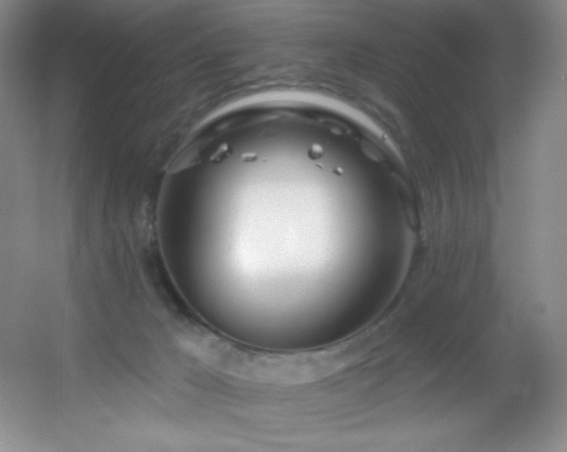 X0000055520029200508121055